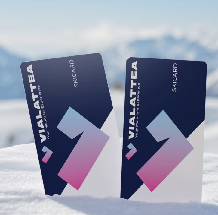 Vialattea transfert aeroprt de Turin
